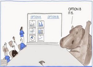 hippo-decision-making